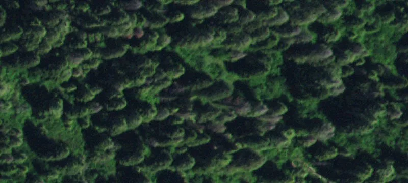 Timbered Mountain Recreation Land