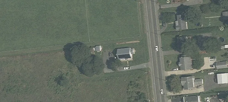 Working Horse and Cattle Farm