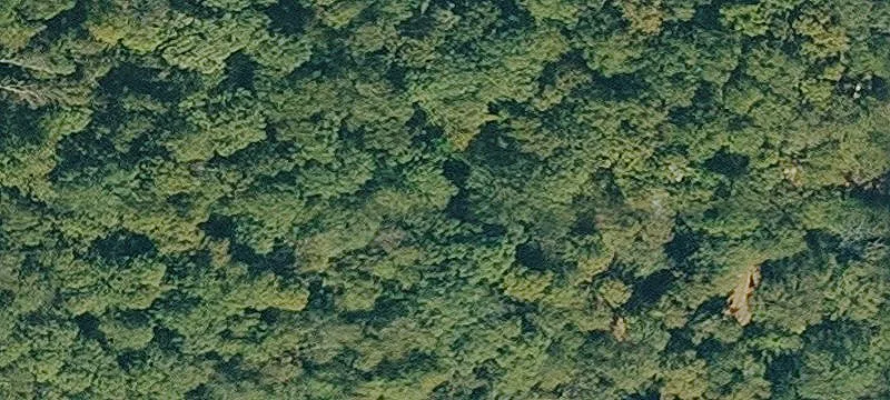 Creek-View Land and Building Lots