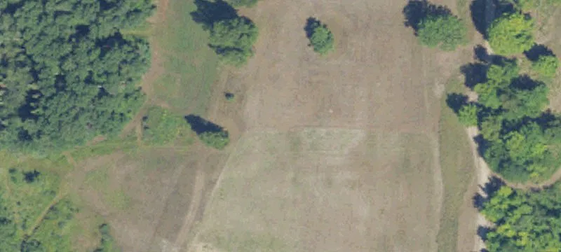 Wooded Hunting and Recreation Land