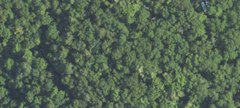 Secluded Waterfront Land
