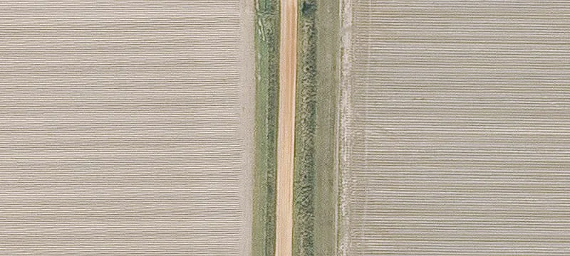 Recreation and Timber Hunting Land