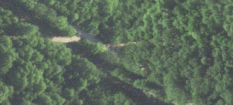Wooded Land Tract with Road Access