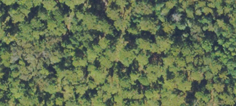 Residential Land Parcel Pair