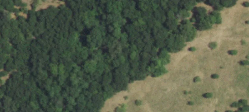Ranch Land with Home and Barn