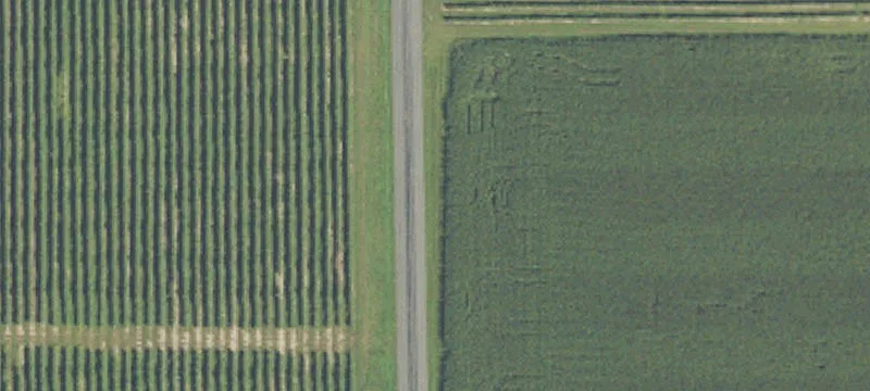 Agricultural Land Parcel