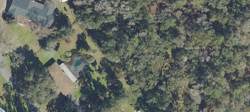 Open Builder Lot with Trees