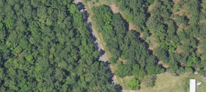 Wooded Unrestricted Land Lot