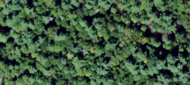 Raw Vacant Land Parcel