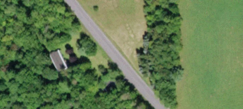 Wooded Recreational Hunting Land