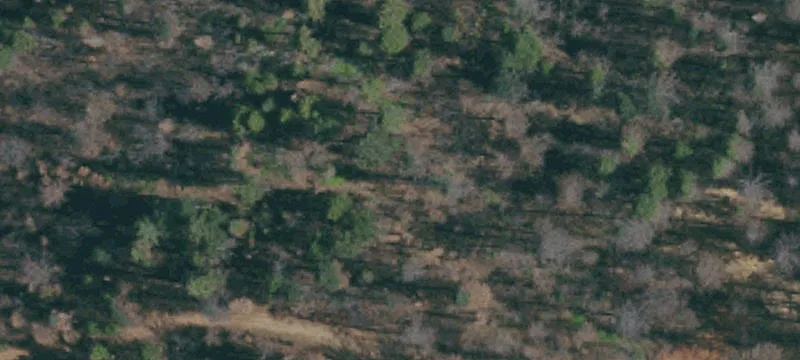 Year-Round Creek Residential Land