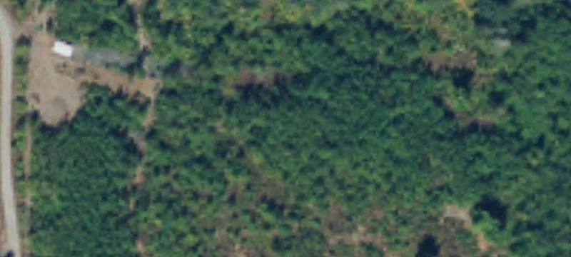 Flat Buildable Home Lot