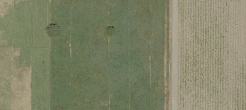 Ranchette with Irrigated Pasture