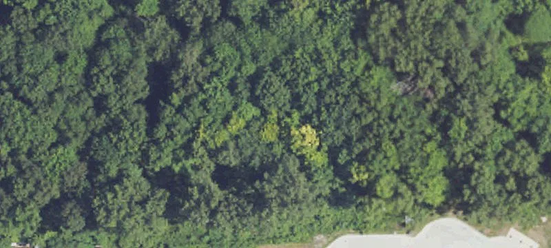 Commercial Land with Road Frontage