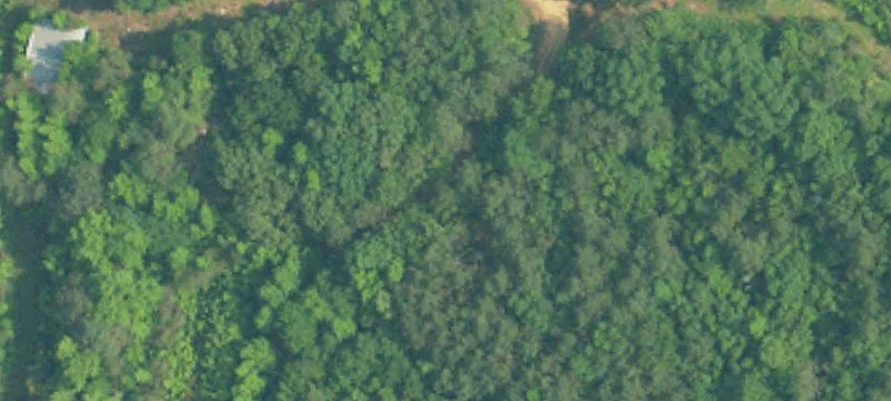 Unrestricted Wooded Land Lots