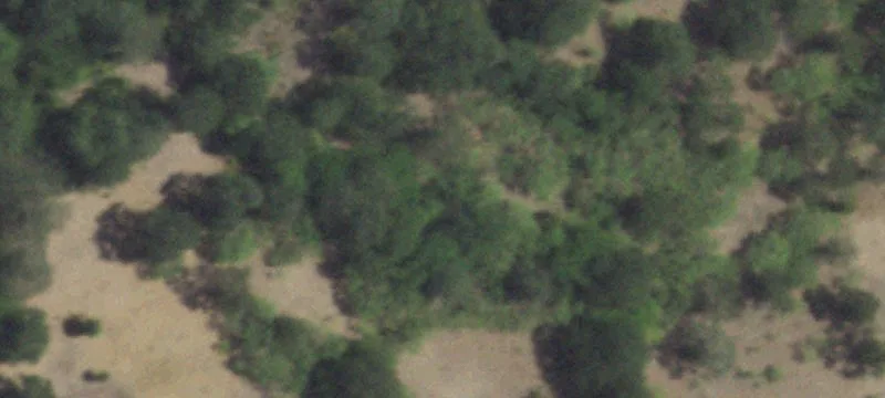 Farmland Tract For Sale