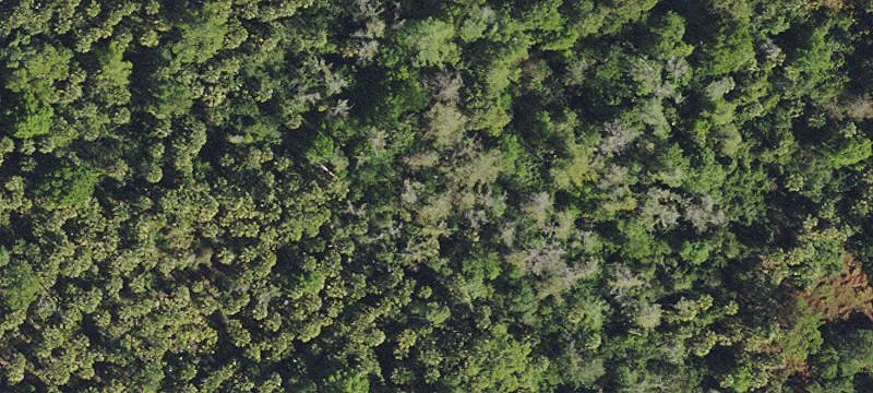 Acreage Home Site