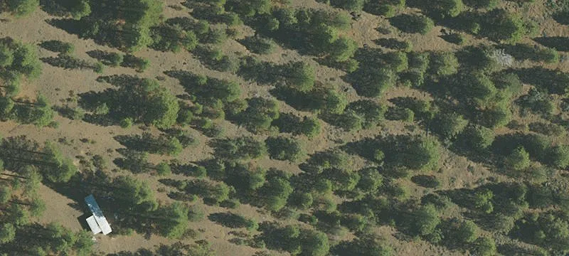 Productive Irrigated Ranch Property