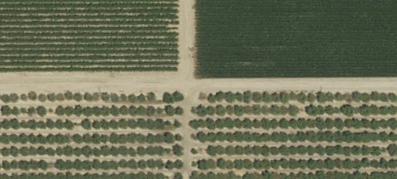 Prime Agricultural Land Parcels