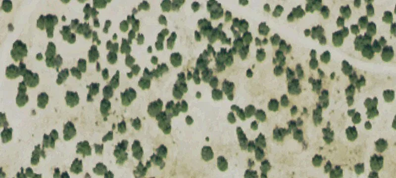 Hunting and Recreation Land
