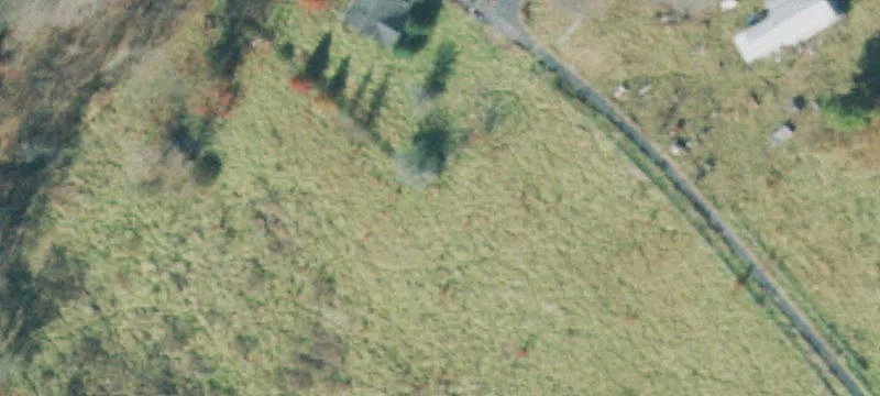 Pasture Farm with Creek Frontage
