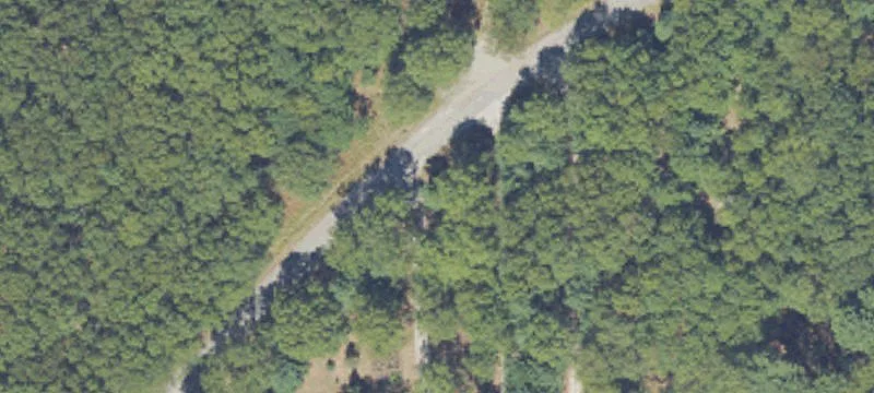Wooded Waterfront Lot