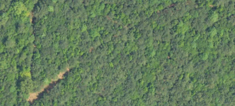 Timber & Hunting Tract