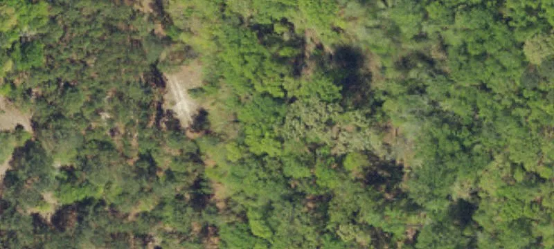 Wooded Country Land Tract