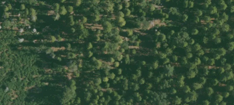 Residential Land Parcel with Creek