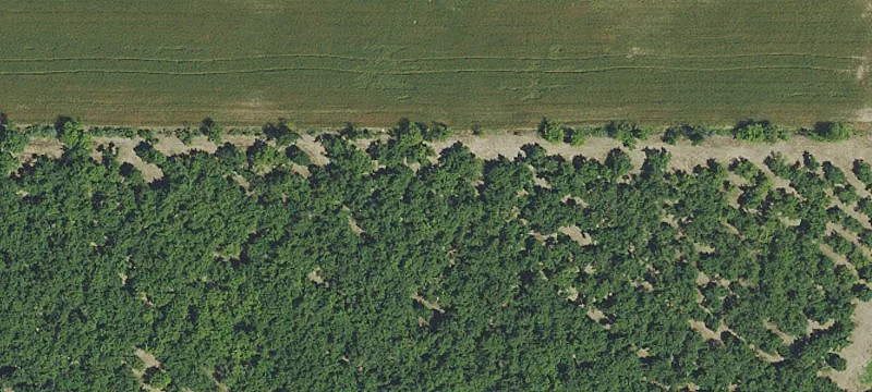 Partially Developed Land Parcel