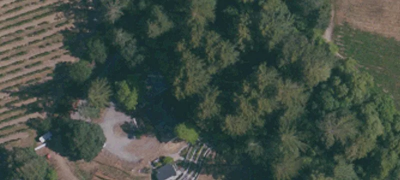Elevated Chardonnay Vineyard Property