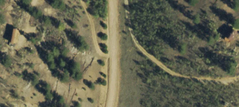 Treed Recreation and Hunting Land