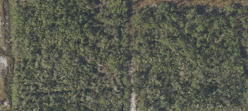 Raw Land Parcel for Custom Build