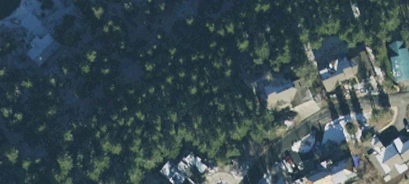 Wooded Mountain Homesite Land