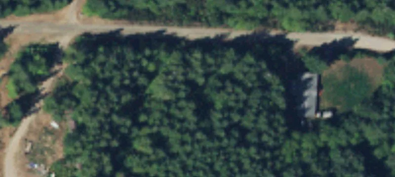 Wooded Acreage with Gravel Access