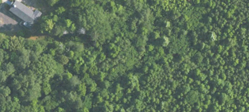Commercial Land with Tree Coverage