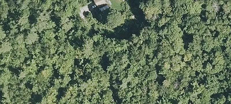 Wooded Residential Building Lot
