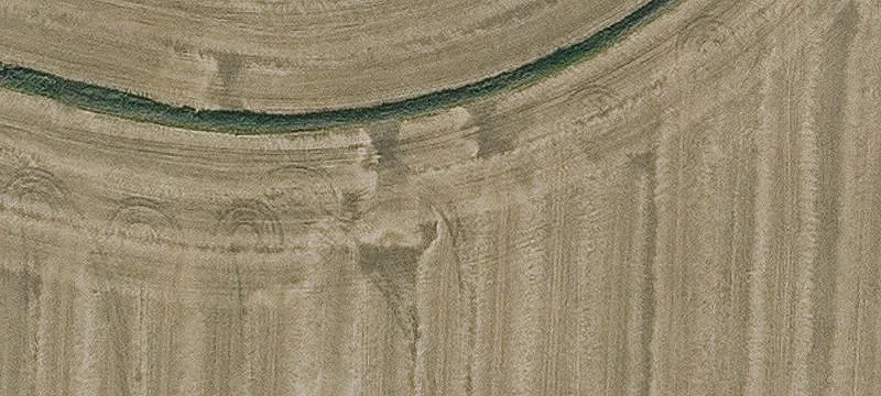 Productive Row-Crop Farmland Tract