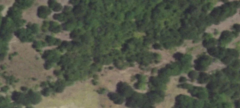 Cleared Acreage with Workshop