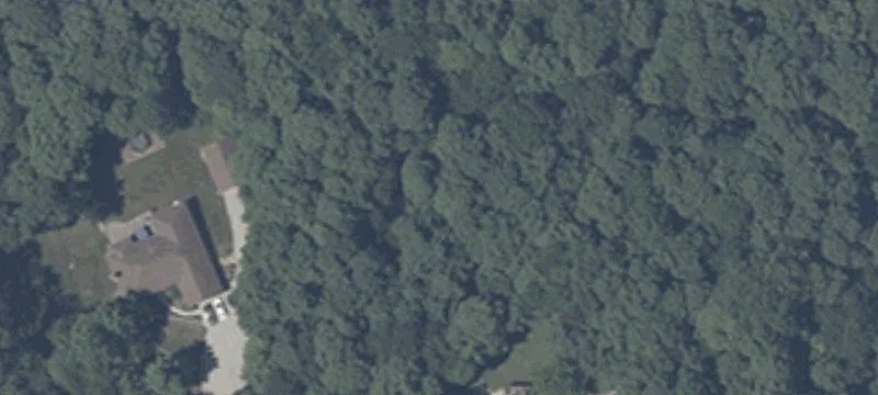 Productive Farm Ground with Road Access