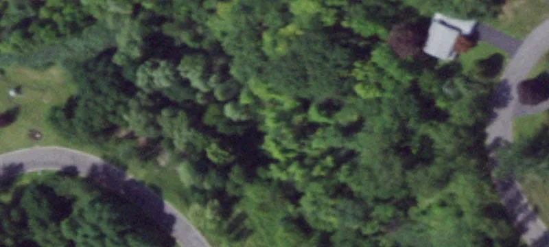Wooded Building Lot