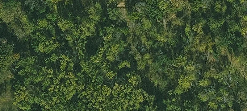 Riverfront Hunting Recreational Land
