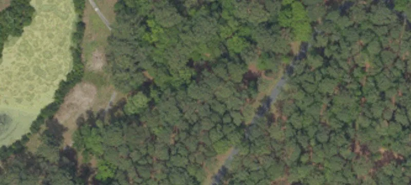 Residential Homesite Near the Coast