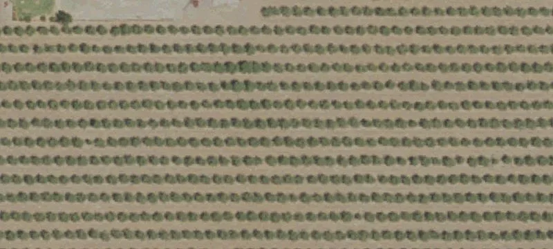 Agricultural Property with Two Homes