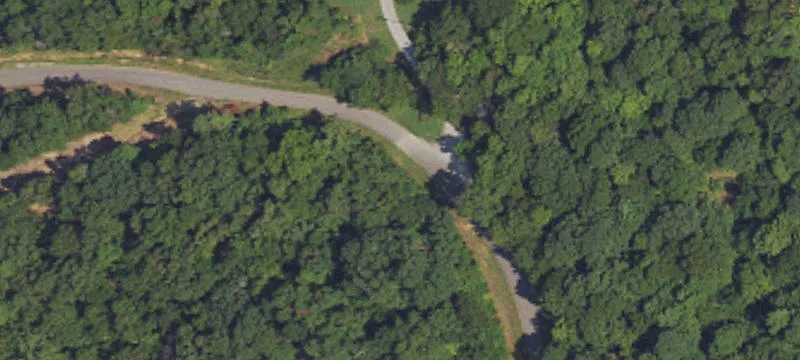 Wooded Hunting Land with Ponds