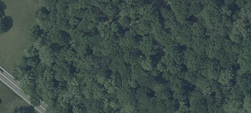 Rural Land with Creek