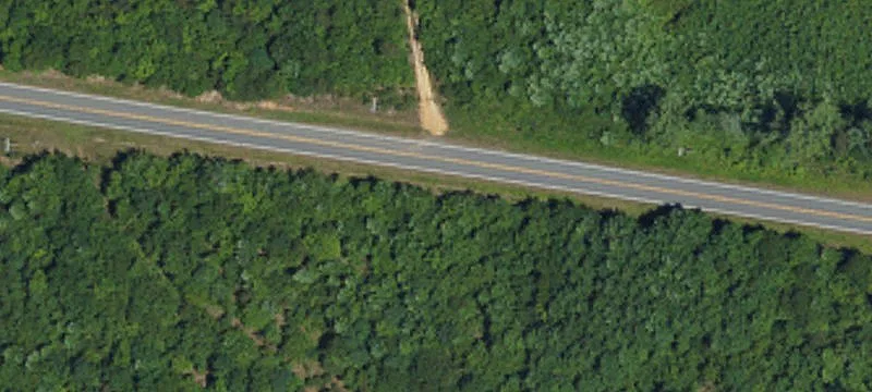 Wooded Hunting and Timber Land