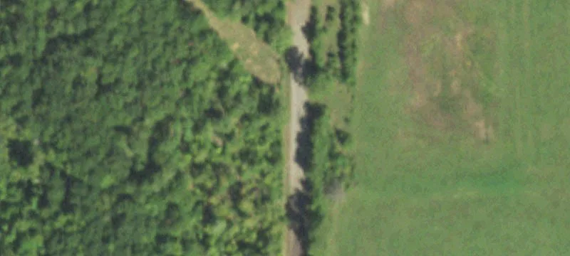 Unrestricted Wooded Land with Building Sites