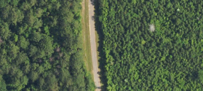 Rural Homesite with Gated Access
