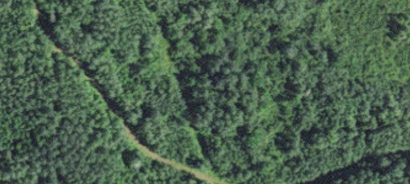 Wooded Lake-Access Building Lot